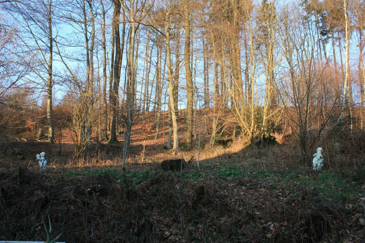 Ferienwohnung Haus Sonnenwinkel Bad Iburg Exterior foto